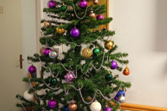IMG-20251202-WA0008